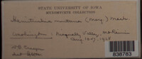 Image Associated With the Occurence